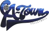 anderson township logo