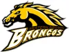 Western Brown Logo